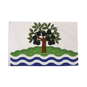 Worcestershire (Old) Flag