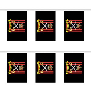 Army Physical Training Corps Rectangular Bunting