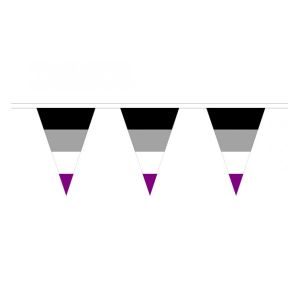 Asexual Triangle Bunting