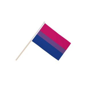Bi-Pride Hand Flags