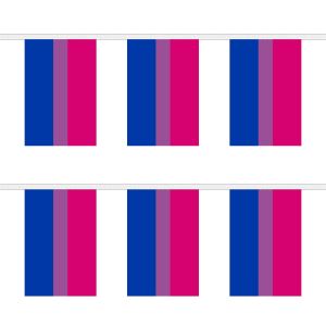 Bi-Pride Rectangular Bunting