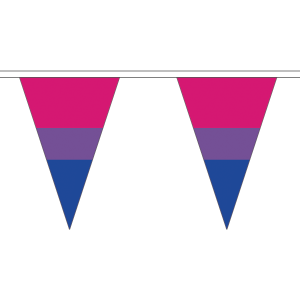 Bi-Pride Triangle Bunting