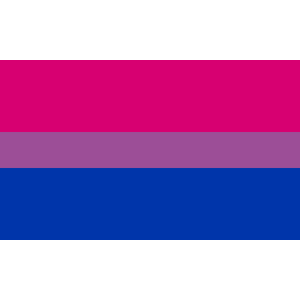 Bi-Pride Coffin Drape Flag