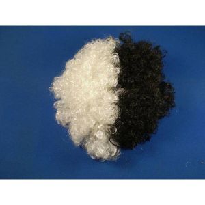 Black and White Wig