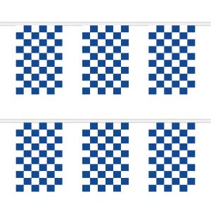 Blue and White Check Rectangular Bunting