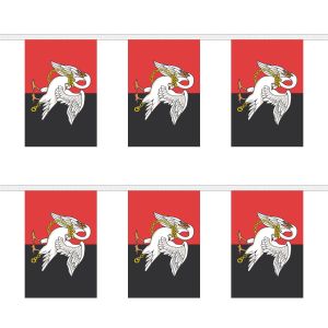 Buckinghamshire New Rectangular Bunting