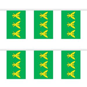 Caernarfonshire Rectangular Bunting