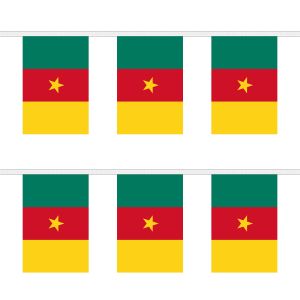 Cameroon Rectangular Bunting