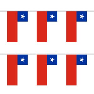 Chile Rectangular Bunting
