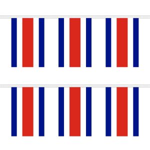 Costa Rica Rectangular Bunting