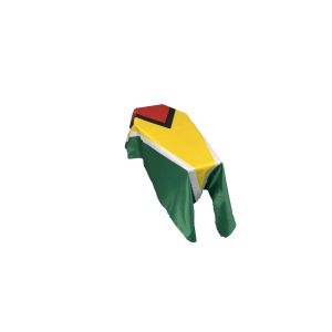 Guyana Coffin Drape Flag
