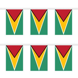 Guyana Rectangular Bunting