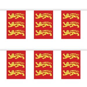 King Richard 1st Rectangular Bunting