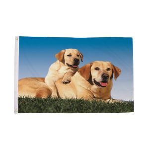 Labradors Flag