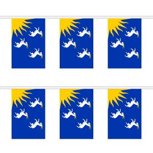 Merionethshire Rectangular Bunting