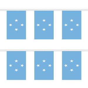 Micronesia Rectangular Bunting