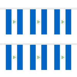 Nicaragua Rectangular Bunting