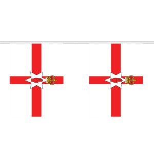 Northern Ireland Giant Bunting