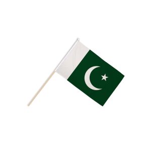 Pakistan Hand Flags