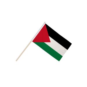 Palestine Hand Flags