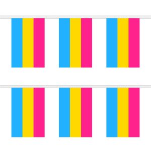Pansexual Rectangular Bunting