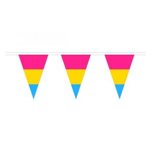 Pansexual Triangle Bunting
