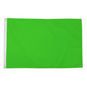 Plain Neon Green Flag
