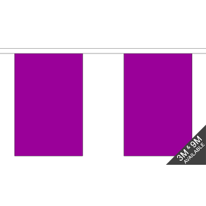 Plain Purple Rectangular Bunting