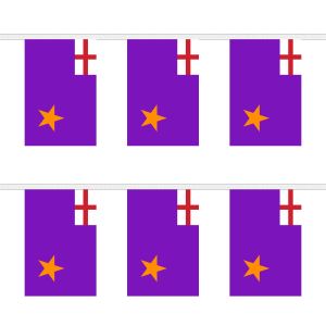 Purple Standard Rectangular Bunting
