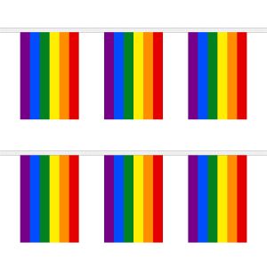 Rainbow Rectangular Bunting