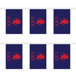 Royal Welch Fusiliers Rectangular Bunting