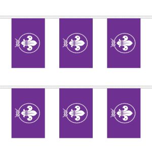 Scouts Purple Rectangular Bunting