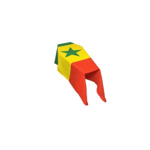 Senegal Coffin Drape Flag