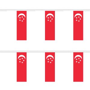 Singapore Rectangular Bunting