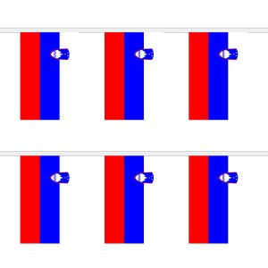 Slovenia Rectangular Bunting