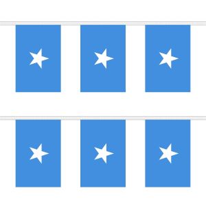 Somalia Rectangular Bunting