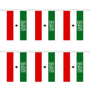 Somaliland Rectangular Bunting