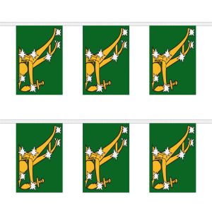 Starry Plough Green Rectangular Bunting