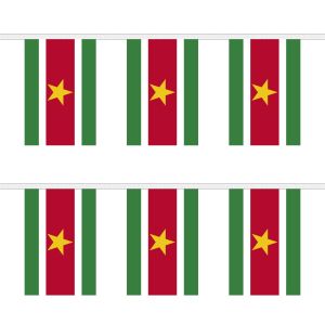 Suriname Rectangular Bunting
