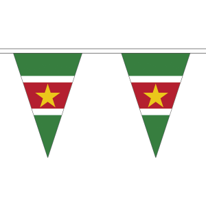 Suriname Triangle Bunting
