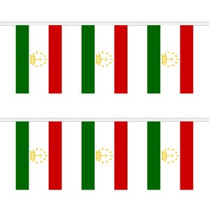 Tajikistan Rectangular Bunting