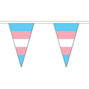 Transgender (New) Triangle Bunting