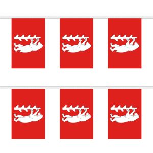 Warwickshire New Rectangular Bunting