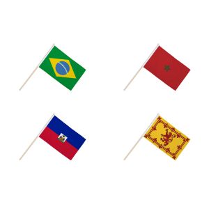 World Cup 2026 Group C Hand Flags