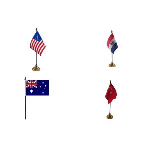 World Cup 2026 Group D Table Flags