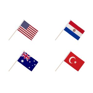 World Cup 2026 Group D Hand Flags