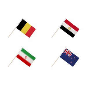 World Cup 2026 Group G Hand Flags