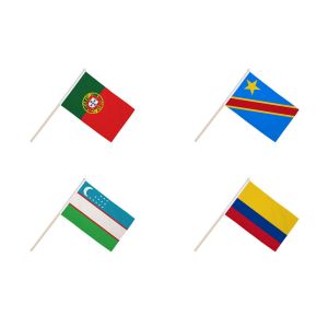 World Cup 2026 Group K Hand Flags