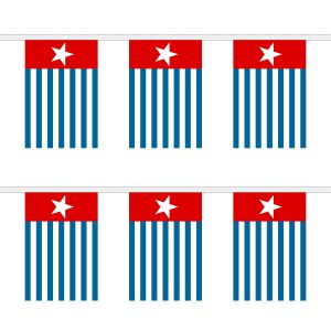 West Papua Rectangular Bunting