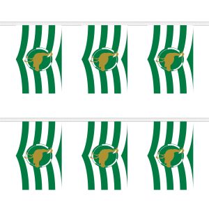 Wiltshire New Rectangular Bunting